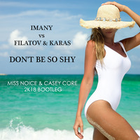 Imany vs. Filatov & Karas - Don't be so shy (Miss Noice & Casey Core Bootleg) MASTER by Djane Miss Noice
