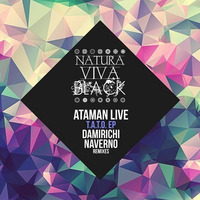 Ataman Live - More Than Ever Before (Original Mix) [Natura Viva Black] by Ataman Live