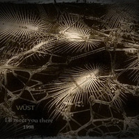 I´ll Meet You There by WÜST