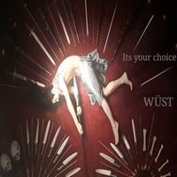 Its Your Choice by WÜST