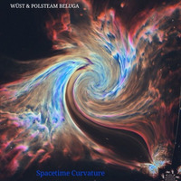 Spacetime Curvatures I WÜST + POLSTEAM BELUGA by WÜST
