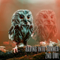 2nd Owl - Raving into Summer by Owlmode