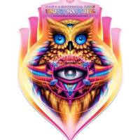 Insomnia Festival Psychedelic Set by Dj Hoffman