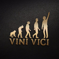 Top 10 Vini Vici Psy Mix(boom Shankar) FT.DJ Suniil by DJ Suniil