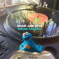 Brian Calero @ Sham Jam 2018-128 by ctrl room