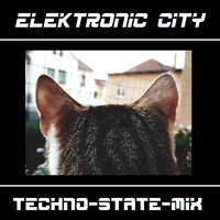 18.04.2018 Techno-State-Mix by Elektronic City