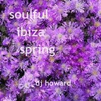 Soulful Ibiza Spring by Howard Hill