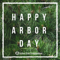 Arbor Day [Free Download] by RezKue
