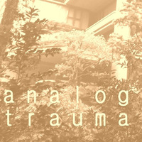 Signals (sometimes in the summer) by Analog Trauma