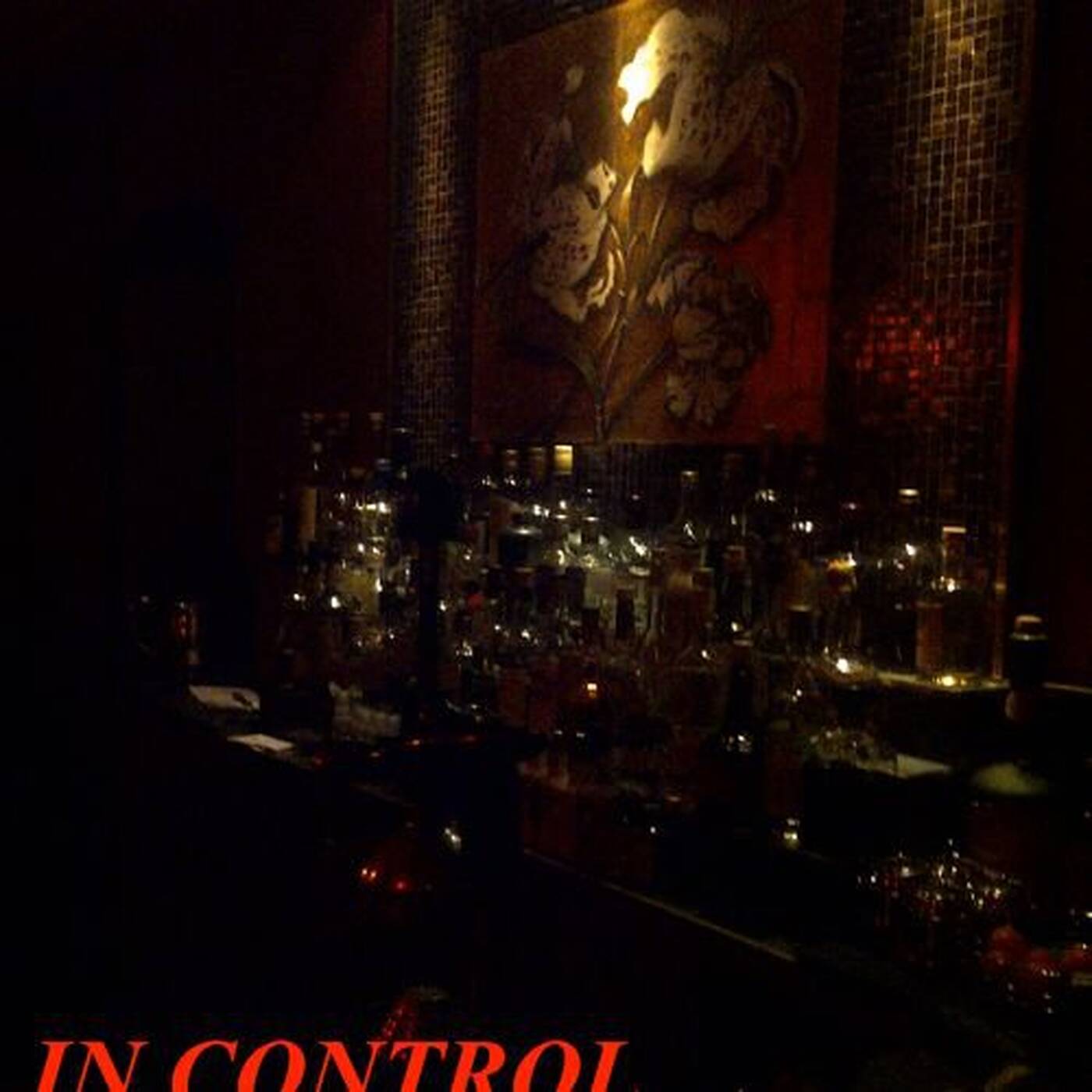 In Control @ Becketts Kopf Berlin // May 2012 Part 2 episode artwork