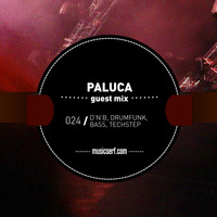 024 MUSICSERF guest mix Paluca by Paluca