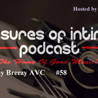 Pleasures Of Intimacy 58 mixed by Breezy AVC  by POI Sessions
