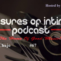 Pleasures Of Intimacy 67 mixed by Chujo by POI Sessions