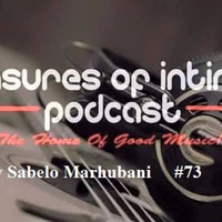 Pleasures Of Intimacy 73 Pres. The Donga Grooves mixed by Sabelo Marhubani by POI Sessions
