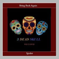 Spider - Bring Back Again (Original Mix) by DJ SPIDER ODISHA