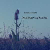 Spaceschneider - Dimension Of Sound by Schneiderstube