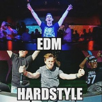EDM vs Hardstyle by Stefan Hödl