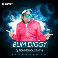 Bum Diggy DJ BIDYUT(House Mix) by DJ BIDYUT