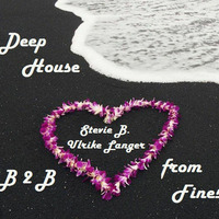 Deep House from the Finest B2B Stevie B. & Ulrike Langer by Stephan Breuer
