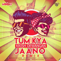 Tum Kya Jaano (Remix) - Krish Dewangan by worldsdj