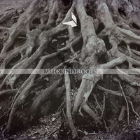 Melokind - Lorde (Original Mix) by Fuchsklang Musik