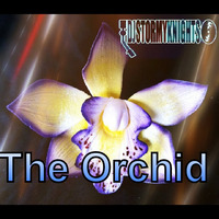 The Orchid 4 by Stormy Knights