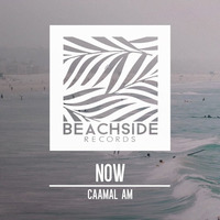 Caamal AM - Now (Original Mix ) SNIPPET by Caamal AM