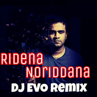 RIDENA NORIDDENA - SANKA DINETH (EVO REMIX) by DJ EvO