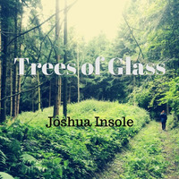 Trees Of Glass by Joshua Insole