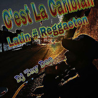Cést La Caribian Urban Latin # Reggaeton vol.1  by Dj Tay Dee by Dj Tay Dee