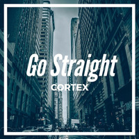 Go Straight (Original Mix) by Farallel