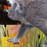 Koala Walks (Dolphin Screw Edition) by SquirrelyBass