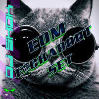EDM F#ckabout Mix by DJ Shok