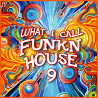 What I Call FunknHouse Vol.9 by Emre K.