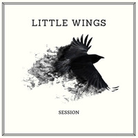 Little Wings by Javier Borja