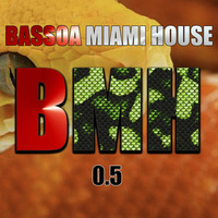 BASSOA MIAMI HOUSE 0.5 by BASSOA