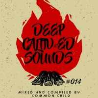 DeepCaltivatedSounds # 014 by DeepCaltivatedSounds