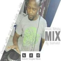 Bushveld Birthday Mix 02 by Bushveld