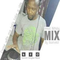Bushveld Birthday Mix Vol.3 by Bushveld