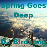 Spring Goes Deep by DJ Birdsong