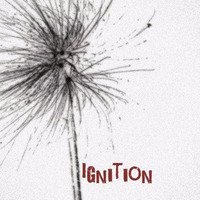freaks.on.a.plane - ignition - FREE DOWNLOAD by freaksonaplane