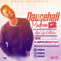 #Dancehall Madness 12 {Rated 21 & Above}-VSPICEKENYA by VJSpiceKenya