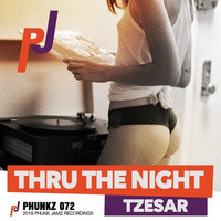 TZESAR - Thru The Night (Original Mix) by TZESAR
