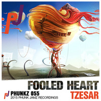 Fooled Heart (Original Mix) by TZESAR