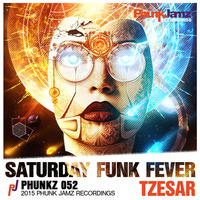 Saturday Funk Fever (Original Mix) by TZESAR