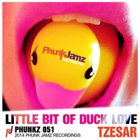 TZESAR - Little Bit Of Duck Love (Original Mix) by TZESAR