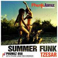 TZESAR - Summer Funk (Original Mix) by TZESAR