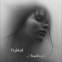 ...|Tracks 3|... by FL3KK3R