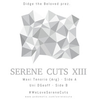 Serene Cuts XIII, Side A - Maxi Tenorio (Arg) by SereneCuts