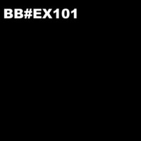 BB#EX101 by Johannes Hahn